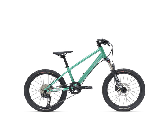 VAAST MODEL Y/1 MOUNTAIN 20" GLOSS TEAL